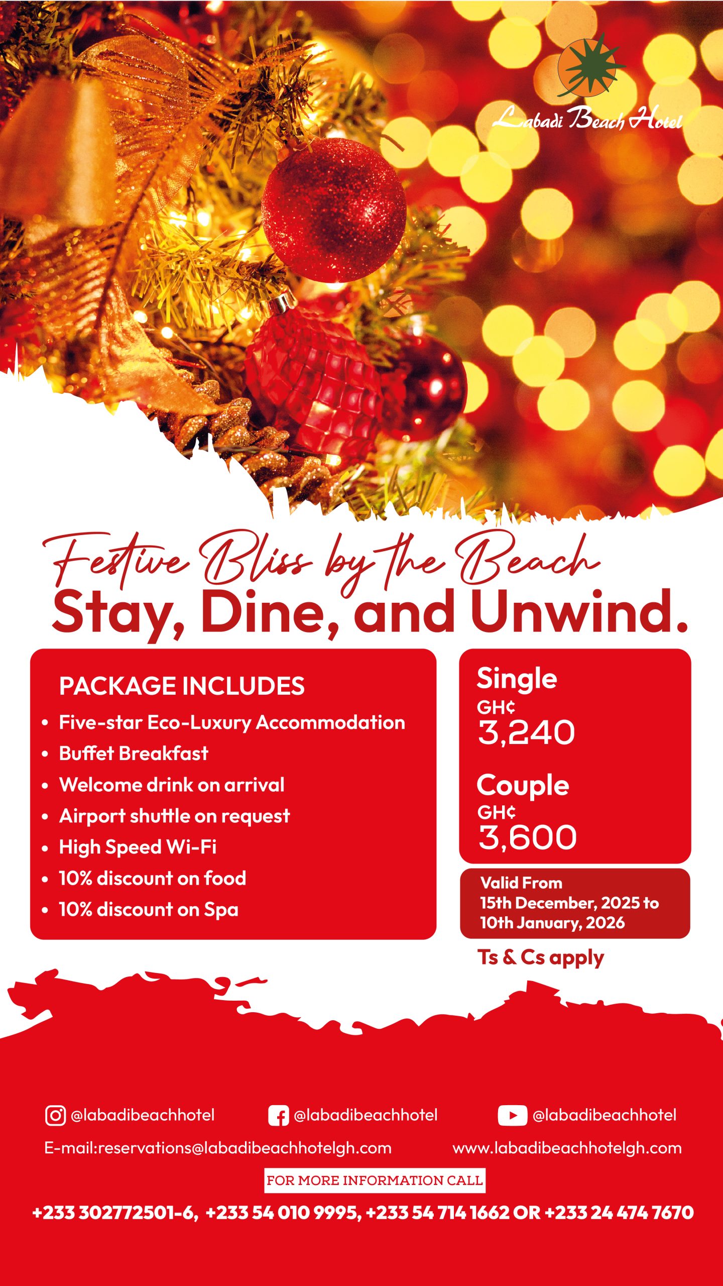 Christmas Acc 9x16in(1)